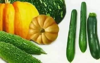 时夏吃瓜后续,揭秘娱乐圈背后的秘密与真相