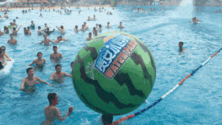 冲浪吃瓜啦,揭秘冲浪圈的那些事儿