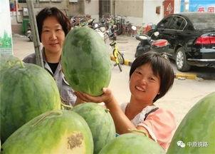 小区吃瓜,揭秘小区里的那些事儿