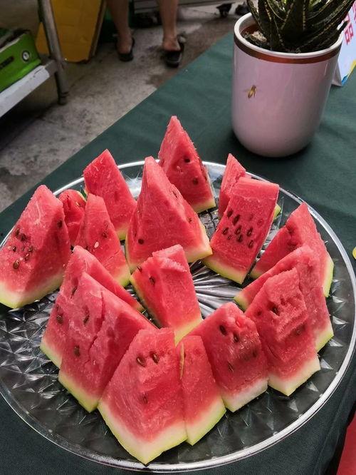 卫大嘴吃瓜,揭秘娱乐圈背后的那些事儿