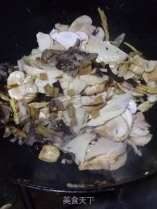 理性吃瓜菌,揭秘网络舆论背后的真相与理性思考