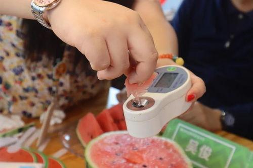 南汇干部直播吃瓜,揭秘直播间的“另类”办公日常