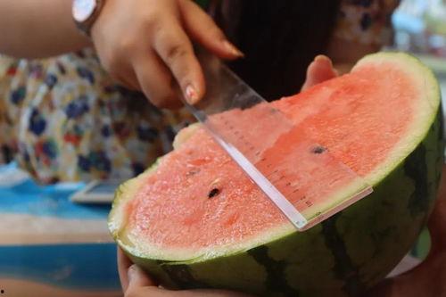 南汇干部直播吃瓜,揭秘直播间的“另类”办公日常