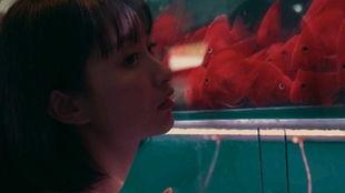 吃瓜少女的呢喃,娱乐圈幕后故事大揭秘