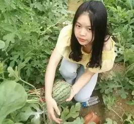 吃瓜王sana,瓜界风云人物背后的故事