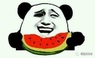 吃瓜跟不上节奏,紧跟时代潮流，解锁节奏感生活