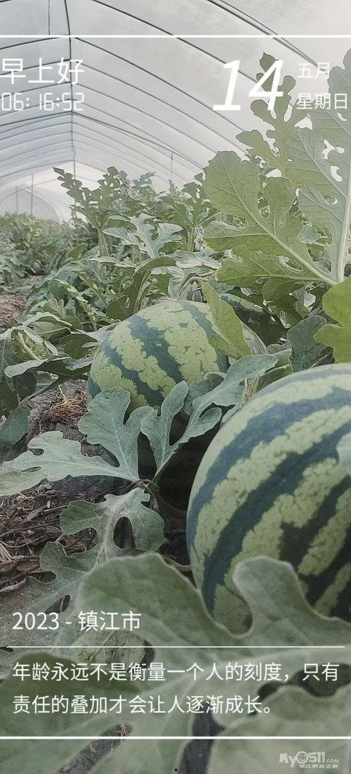 爱大瓜吃瓜网,爱大瓜吃瓜网带你畅游明星八卦世界