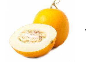 伊丽莎白瓜吃一个,一尝倾心，回味无穷