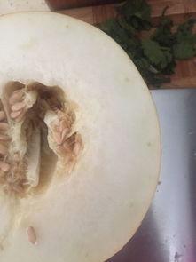 伊丽莎白瓜吃一个,一尝倾心，回味无穷