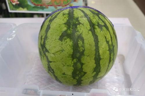 南宫吃瓜,揭秘娱乐圈背后的那些事儿