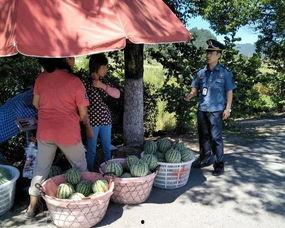 顺平吃瓜群众案件,揭秘网络谣言背后的真相