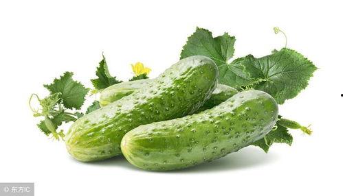 黄瓜一瓜三吃,黄瓜的“三重奏”美食之旅