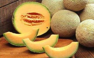 孕妇吃哈密瓜好吗吃海参,孕妇适宜食用哈密瓜与海参的探讨