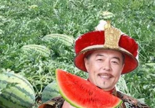 乾隆路边吃瓜说瓜很甜