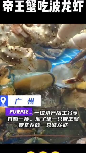 开膛破肚吃瓜,揭秘美食背后的惊悚故事