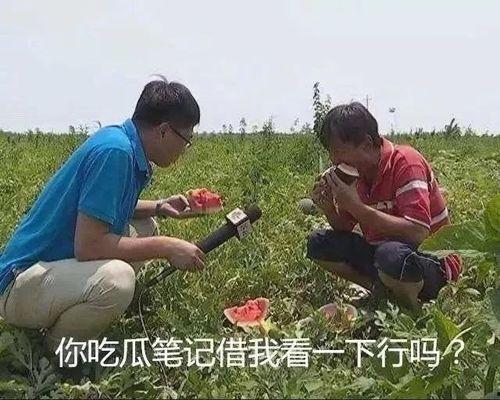吃瓜先锋,吃瓜先锋带你领略明星幕后故事