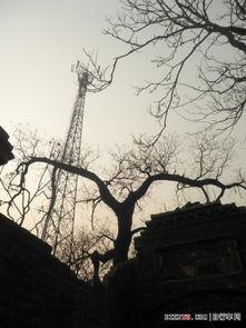 葛岩嵛吃瓜,瓜界新宠，吃瓜达人风采独树一帜