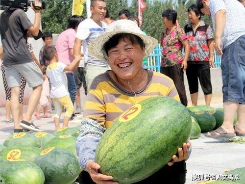 禹城又有新瓜吃,畅享夏日美味时光