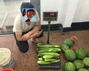 偷瓜吃瓜,一场欢乐的夏日冒险