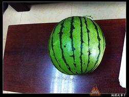 等吃瓜的时候,吃瓜群众视角下的娱乐圈风云录