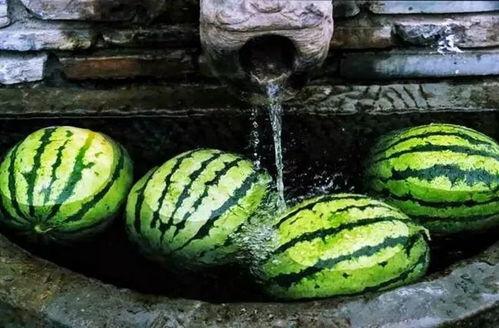 等吃瓜的时候,吃瓜群众视角下的娱乐圈风云录