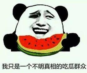 带你吃瓜奇滑梯,一场别开生面的吃瓜盛宴