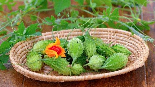 吃土瓜可以减肥,神奇减肥新选择，轻松告别多余脂肪