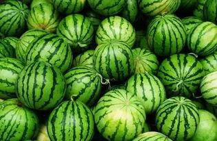 黑料吃瓜群入口,一场网络八卦盛宴的幕后真相