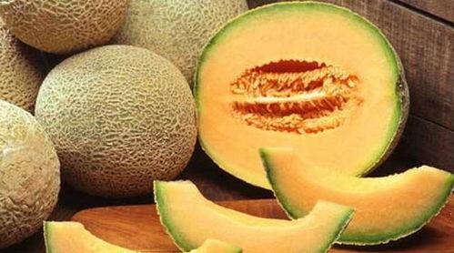 哈密瓜吃有一股药味儿,探寻瓜果中的独特风味