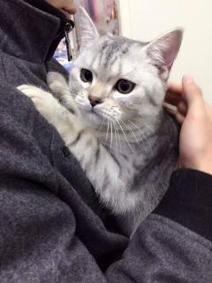 洋洋吃瓜视频大全,揭秘娱乐圈幕后故事