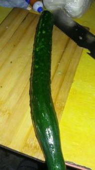 懒瓜怎么吃最好,美味吃法大揭秘