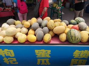 青海瓜怎么吃,解锁美味新体验