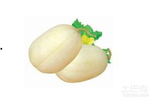 皮可西西吃瓜,皮可西西的瓜田奇遇记