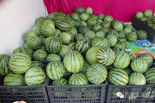 凤台吃瓜陈,揭秘网络红人的崛起之路